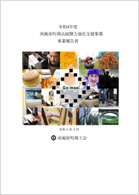 令和4年度 南風原町商品展開力強化支援事業 事業報告書